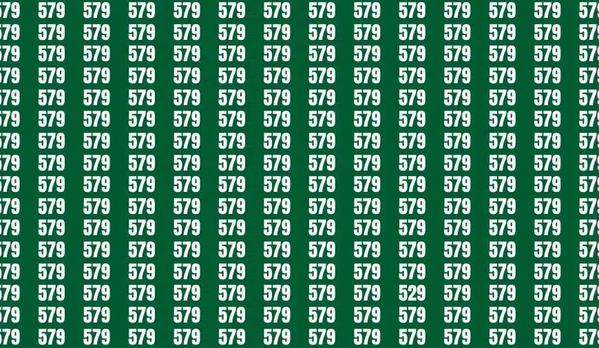 Illusione ottica: Se hai gli occhi extra-acuti trova il numero 529 in 16 secondi