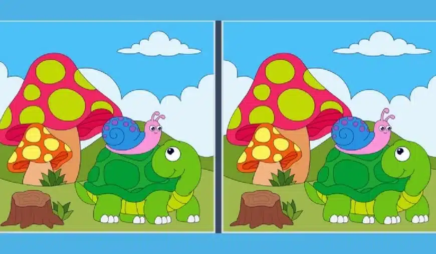 Illusione ottica: individuare la differenza: Se hai gli occhi acuti trovi la differenza tra due immagini in 22 secondi?