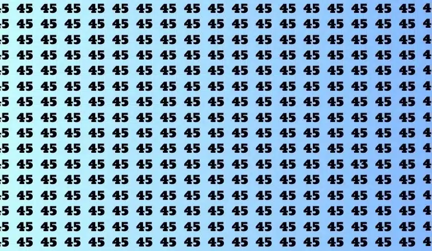 Osservazione Scopri: se hai gli occhi dell’aquila trova il numero 43 in 18 secondi