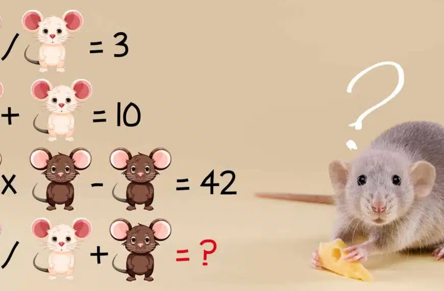 Test del QI: Riesci a trovare il valore rappresentato da ciascun topo in meno di 20 secondi?
