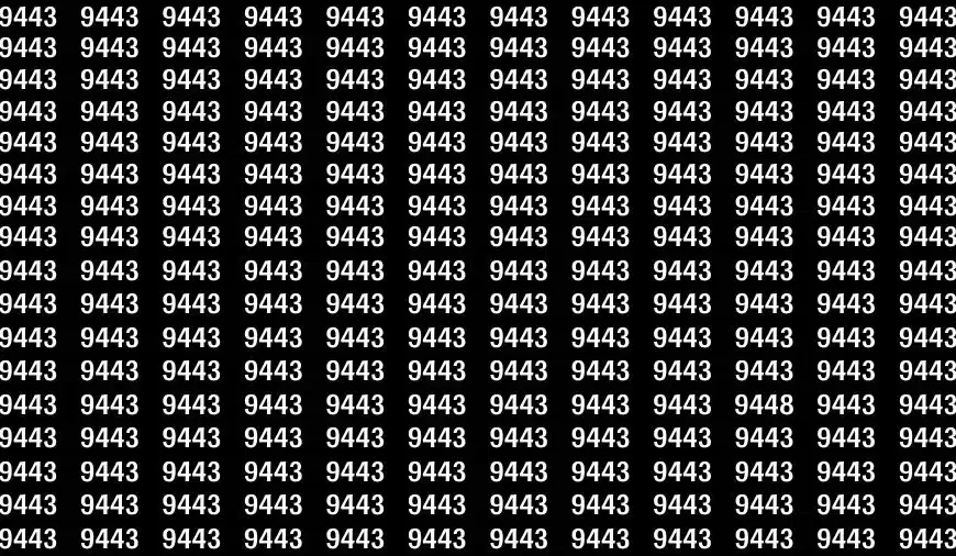 Test cerebrale di illusione ottica: se hai gli occhi acuti trova il numero 9448 in 20 secondi