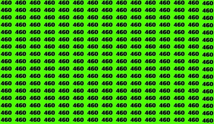 Test dell’illusione ottica: se avete gli occhi dell’aquila trovate il numero 450 in 18 secondi