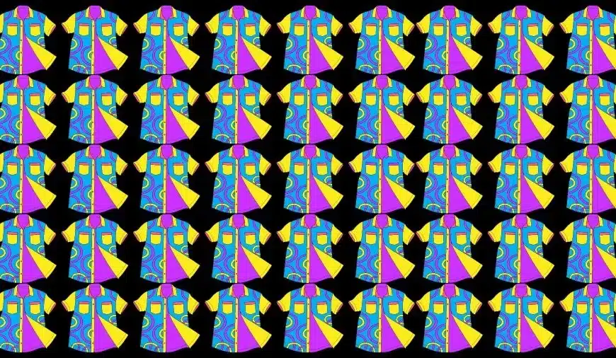 Test dell’occhio sull’illusione ottica: Cerca di trovare la camicia strana in questa immagine