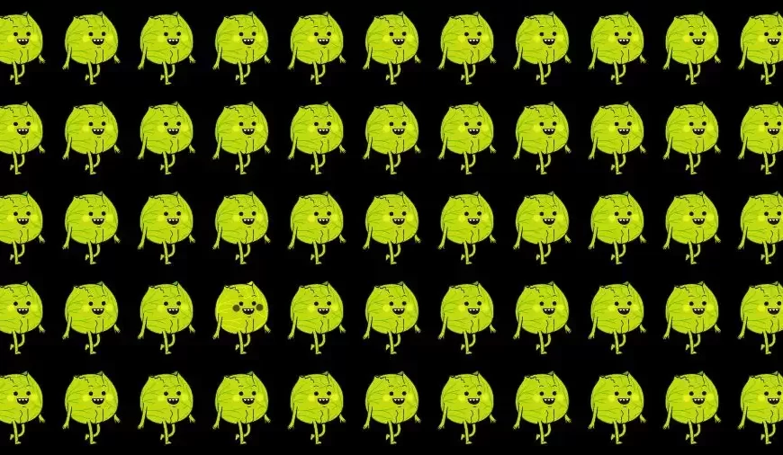Test di abilità di osservazione: Cerca di trovare il cavolo strano in questa immagine.