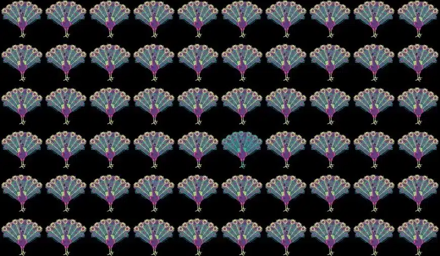 Test oculare di illusione ottica: Cerca di trovare il pavone strano in questa immagine