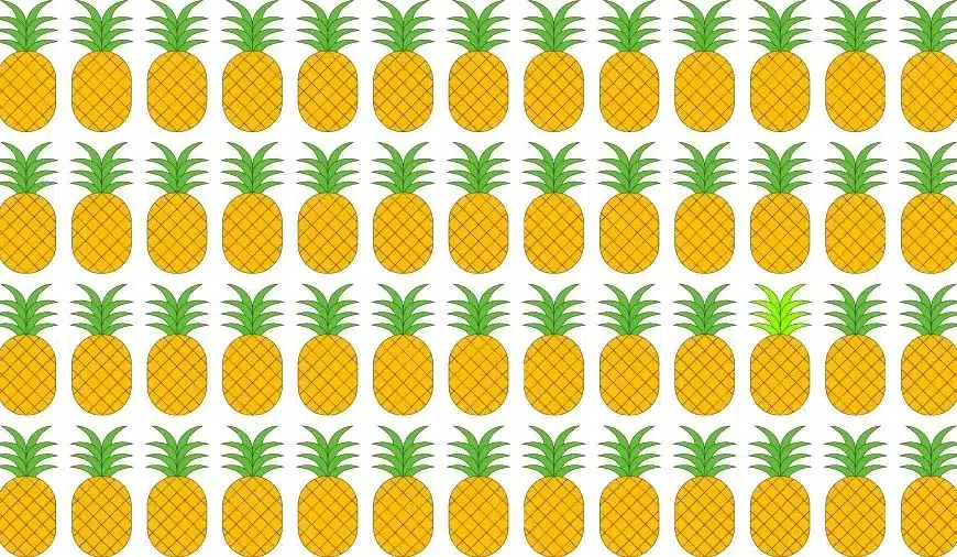 Test oculare di illusione ottica: Cerca di trovare l’ananas dispari in questa immagine
