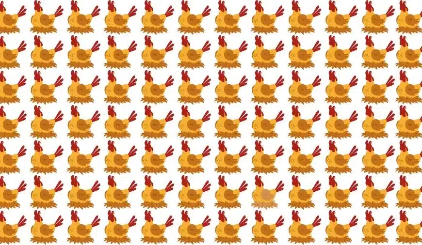 Test oculare sull’illusione ottica: Riesci a trovare la gallina strana in 20 secondi?