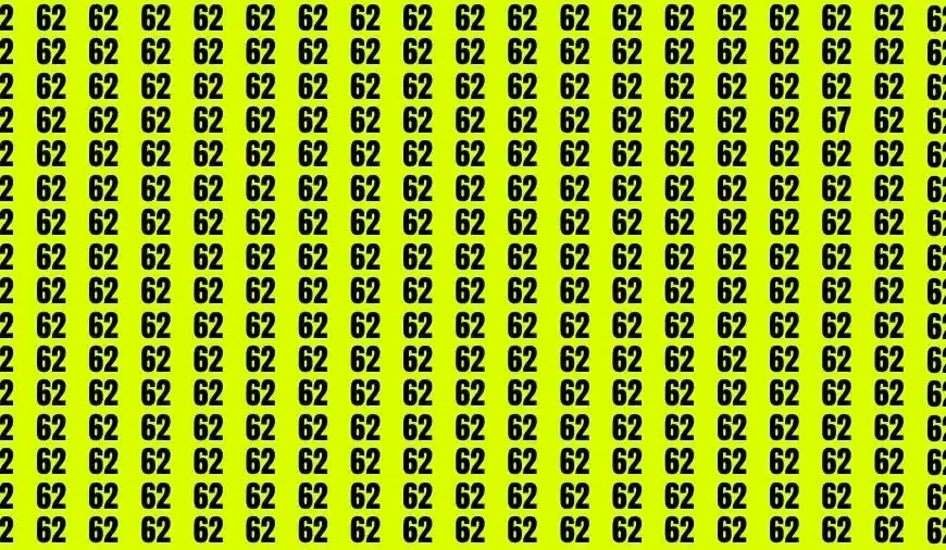 Test visivo dell’illusione ottica: se avete gli occhi acuti trovate il numero 67 in 16 secondi
