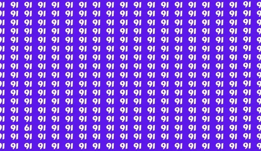 Test visivo di illusione ottica: se avete gli occhi dell’aquila, trovate il numero 61 tra i 91 in 14 secondi