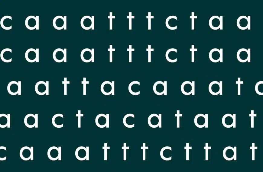 Test visivo: la parola gatto è scivolata in questo guazzabuglio di parole. Trovatela in 60 secondi!