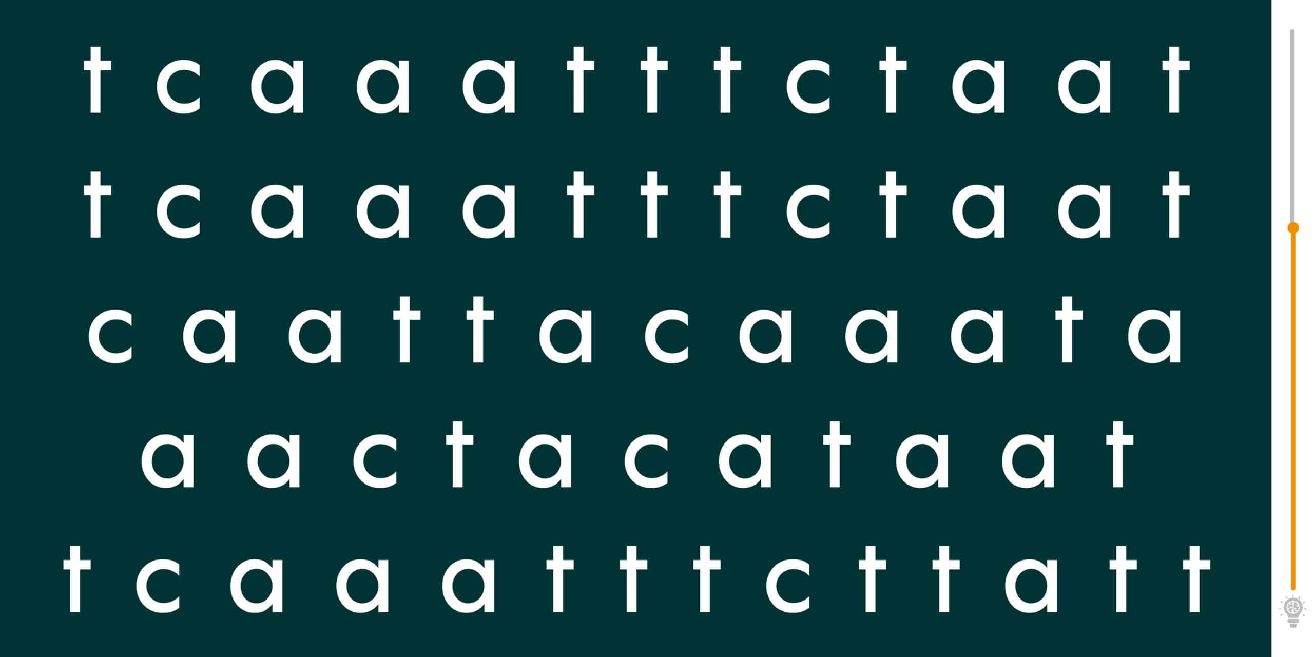 Test visivo: la parola gatto è scivolata in questo guazzabuglio di parole. Trovatela in 60 secondi!