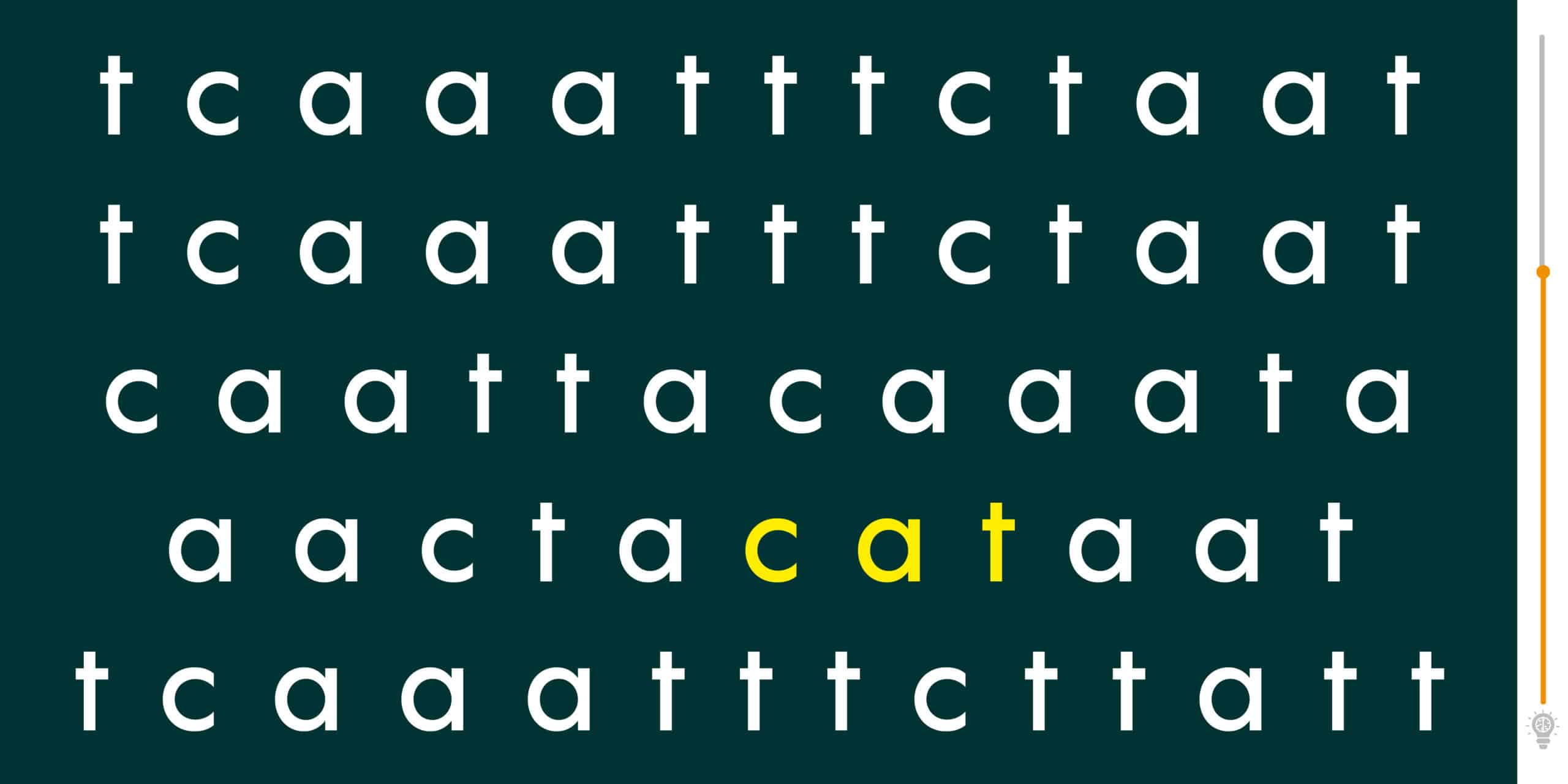 Test visivo: la parola gatto è scivolata in questo guazzabuglio di parole. Trovatela in 60 secondi!