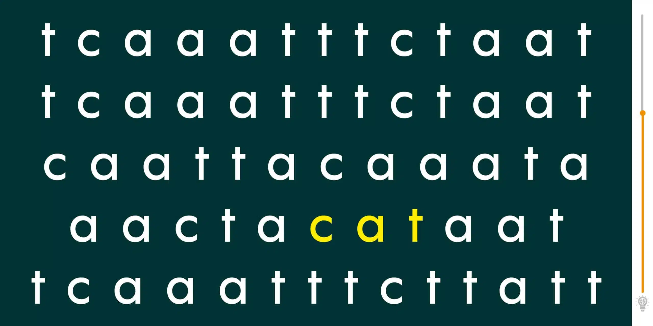 Test visivo: la parola gatto è scivolata in questo guazzabuglio di parole. Trovatela in 60 secondi!