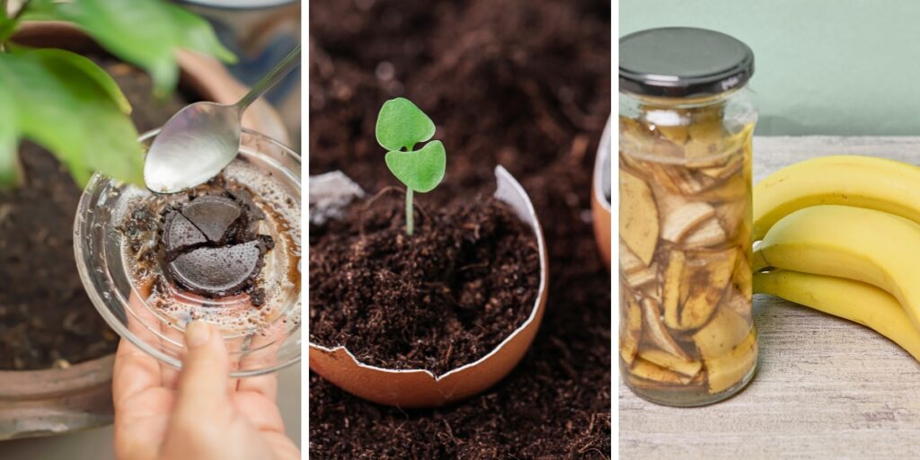 Trasforma i tuoi rifiuti di cucina in fertilizzante naturale!