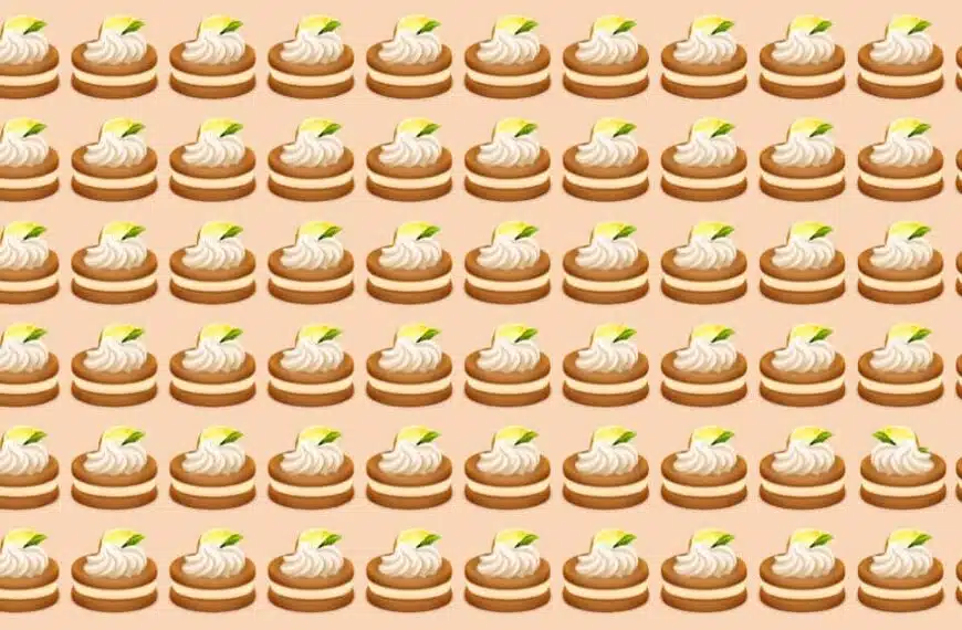 Siete appassionati di giochi di osservazione? Allora siete nel posto giusto!