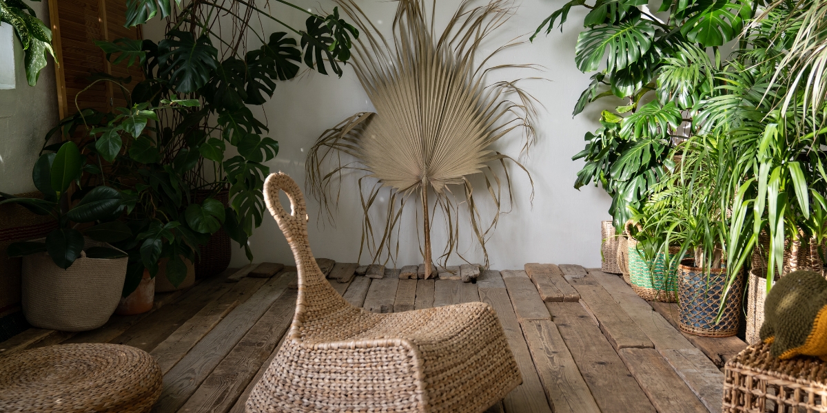 Sapevi che il vimini vivo è il materiale ecologico ideale per decorare il tuo giardino?