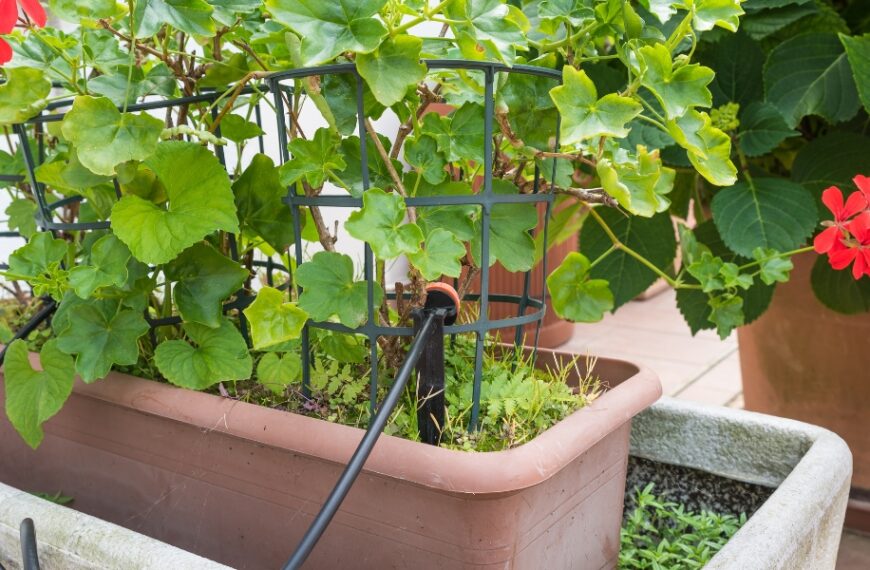 Come preparare per l'inverno un sistema a goccia?