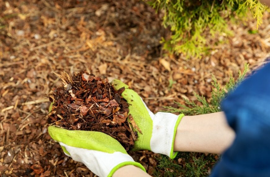 Pacciamatura in giardino: tutti i nostri consigli e trucchi per farla bene