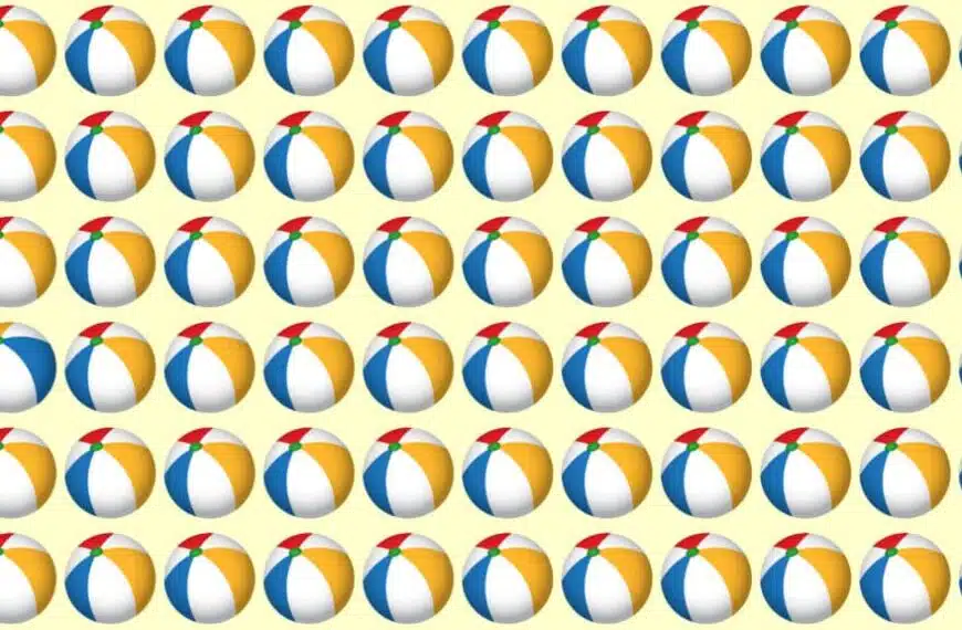 Test di percezione: se siete meticolosi, dove si nasconde l’intruso in questa immagine?