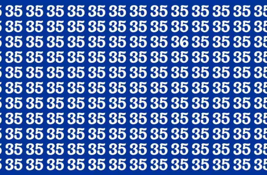 Test visivo: riuscite a trovare il numero 36 in meno di 20 secondi?
