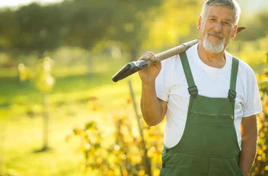 Buoni propositi per il giardino!