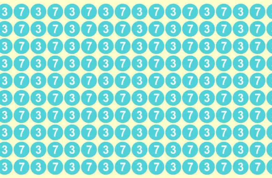 Test visivo: siete in grado di individuare il numero 87 in 15 secondi?