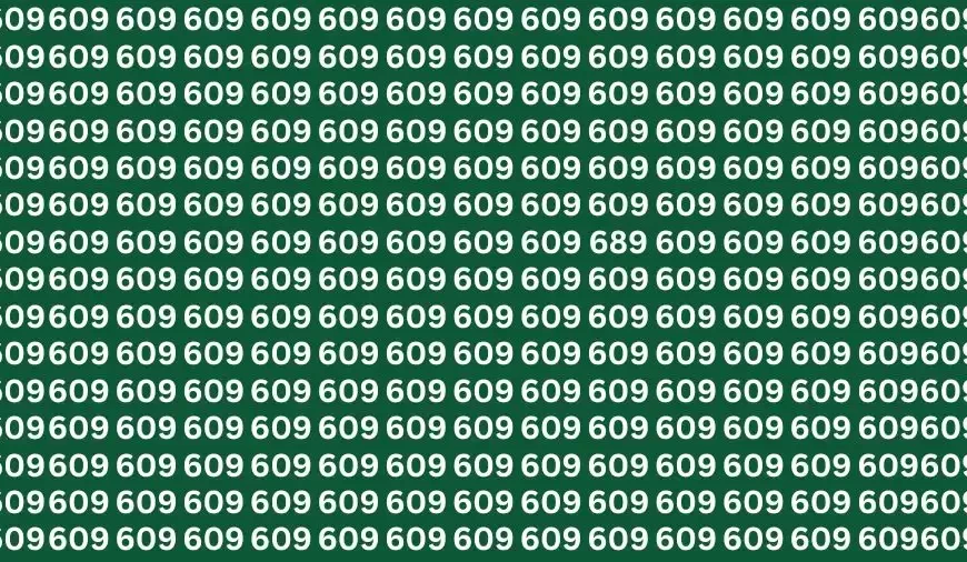 Illusione ottica: Se hai gli occhi da falco trova il numero 689 in 13 secondi