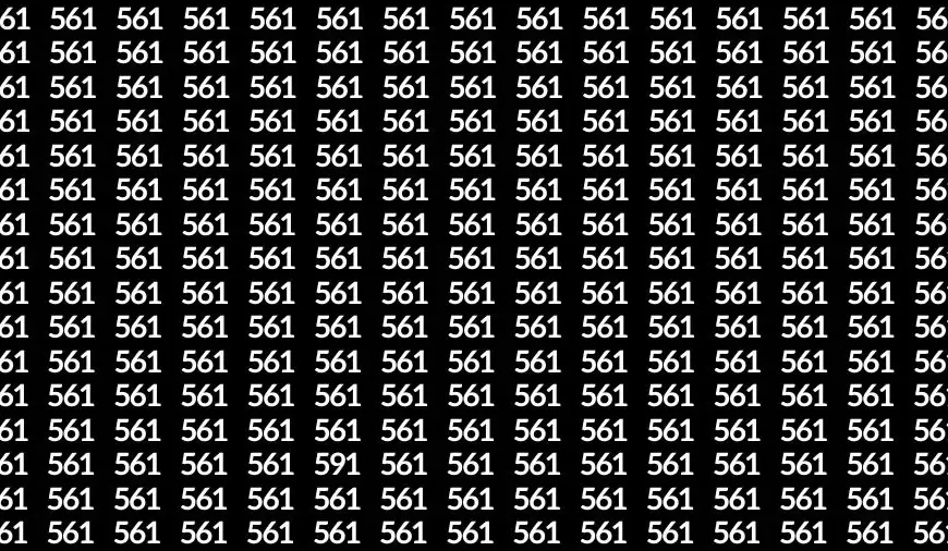 Individuare il numero 591 nascosto tra 561 in meno di 10 secondi