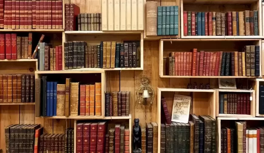 Potete aiutare John a trovare la sua pen drive tra i libri in meno di 12 secondi?