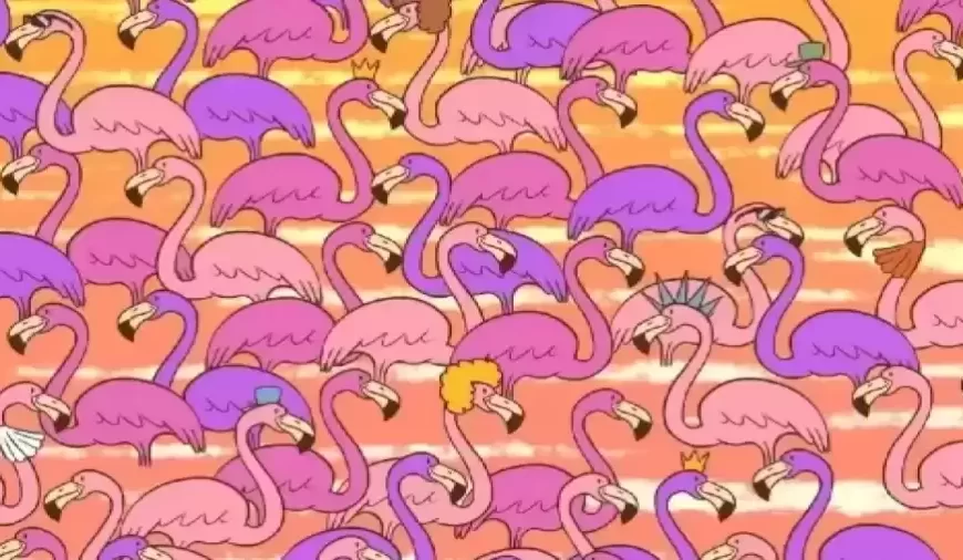 Provate a trovare un piccolo cuore nascosto tra questi fenicotteri in 10 secondi?