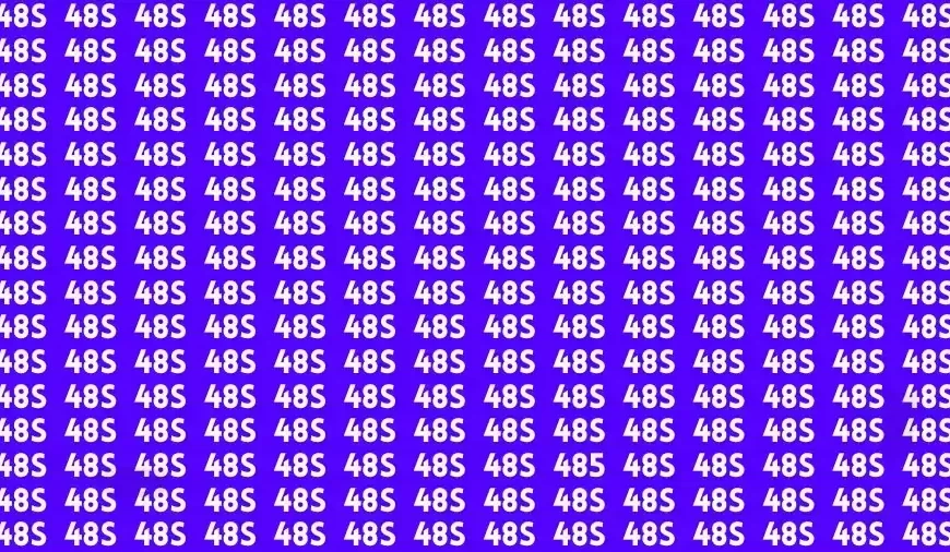 Riesci a trovare il numero nascosto 485 in 8 secondi?