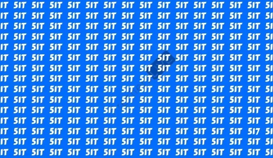 Se avete una visione 50/50 trovate il numero 517 in 14 secondi