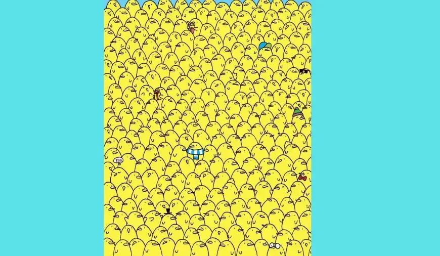 Sei un genio se riesci a individuare i cinque limoni che si nascondono tra le galline in 12 secondi