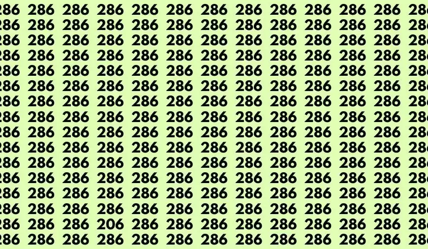 Siete abbastanza intelligenti da trovare il numero 206 tra 286 in 13 secondi?