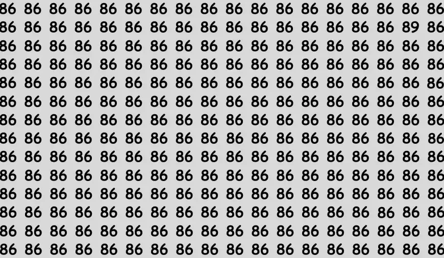 Test cerebrale di illusione ottica: se hai gli occhi acuti trova il numero 89 in 10 secondi