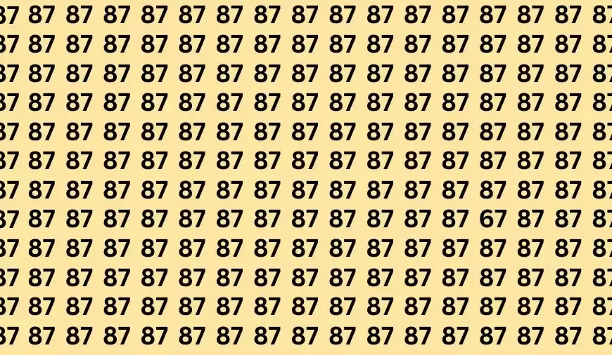 Test cerebrale di illusione ottica: se hai gli occhi dell’aquila trova il numero 67 in 13 secondi