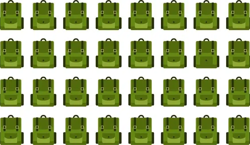 Test cerebrale sull’illusione ottica: se hai gli occhi dell’aquila, trova la borsa strana in 15 secondi