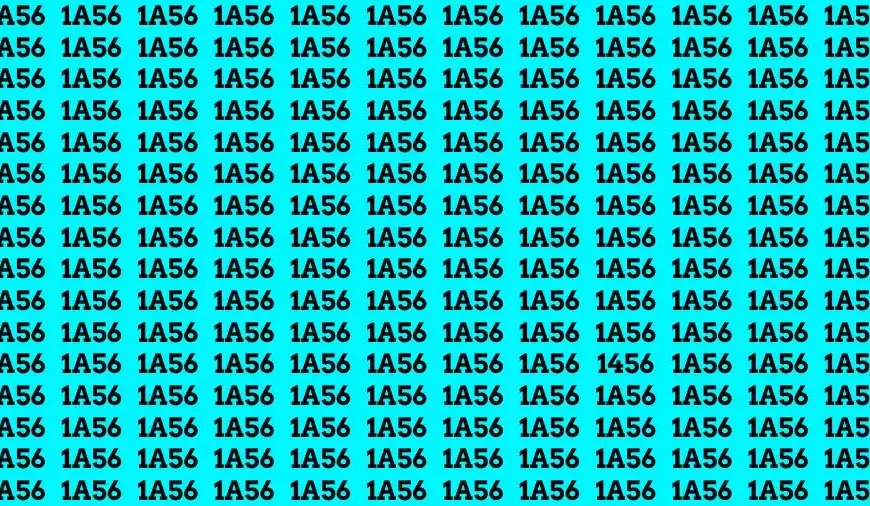 Test dell’illusione ottica: se avete gli occhi di un falco trovate il numero 1456 in 13 secondi