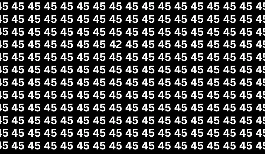 Test di illusione ottica: se avete gli occhi dell’aquila, trovate il numero 42 tra i 45 in 17 secondi