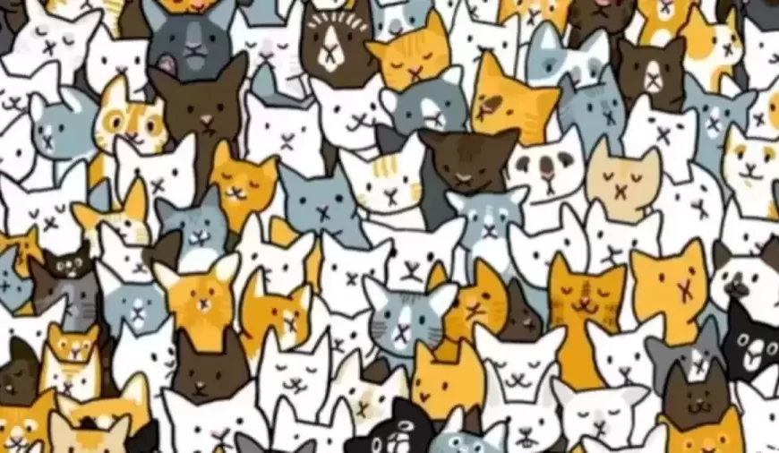 Test di illusione ottica: se hai gli occhi acuti, trova il coniglietto nascosto tra questi gatti in meno di 10 secondi.