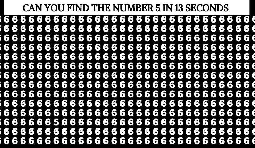 Test ottico degli occhi: se avete gli occhi di un falco, trovate il numero 5 in 12 secondi