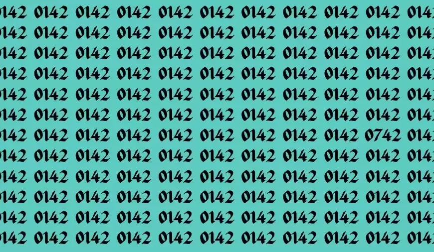 Test ottico di illusione visiva: se avete occhi molto acuti trovate il numero 0742 in 13 secondi