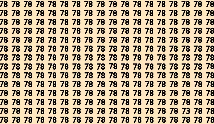 Test visivo di illusione ottica: bisogna avere un occhio di riguardo per individuare il numero 73 nascosto in un mare di 78 giri in 15 secondi.