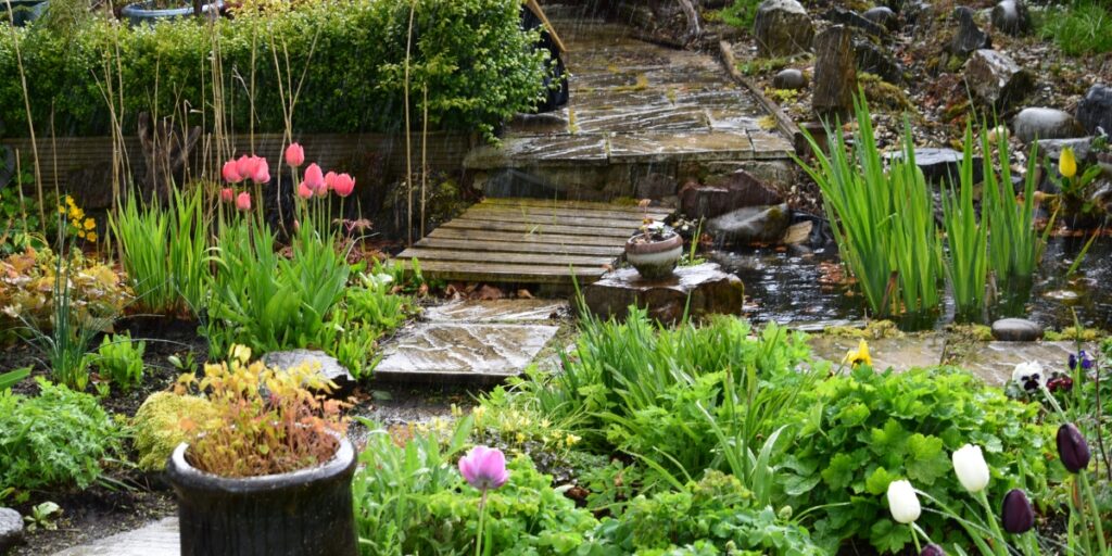Come preparare il tuo giardino per l'inverno: Segui i nostri 4 passaggi per un giardino protetto al 100% dal freddo e dalle intemperie