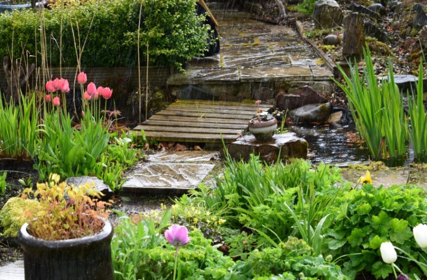 Come preparare il tuo giardino per l'inverno: Segui i nostri 4 passaggi per un giardino protetto al 100% dal freddo e dalle intemperie