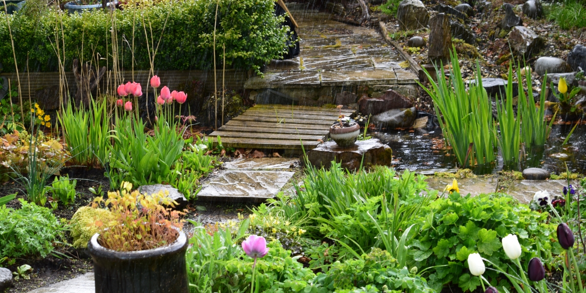 Come preparare il tuo giardino per l'inverno: Segui i nostri 4 passaggi per un giardino protetto al 100% dal freddo e dalle intemperie