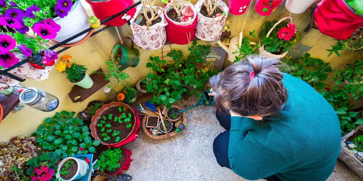 Piante che crescono sul balcone e richiedono poche annaffiature!