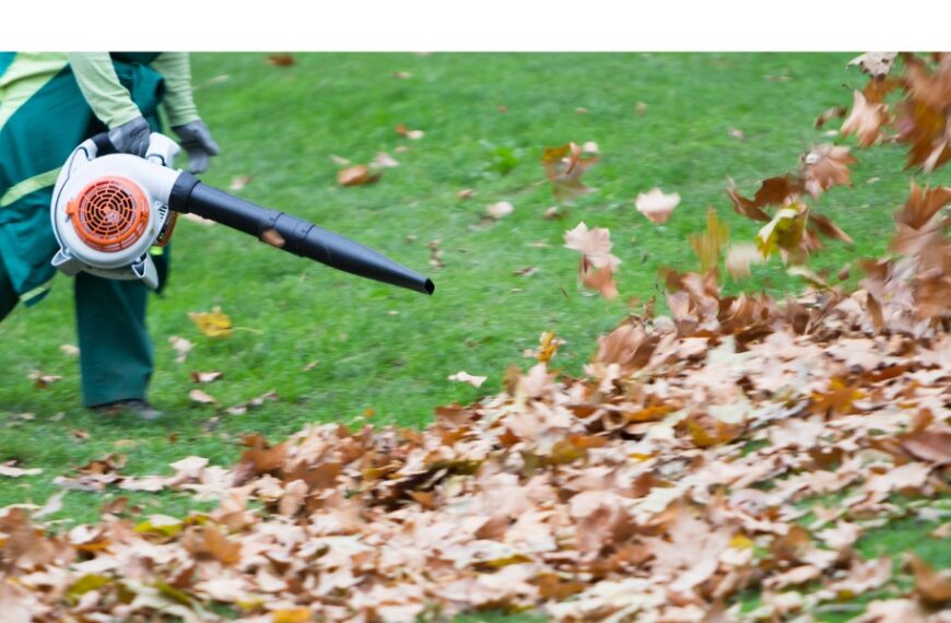 4 buone azioni per curare il tuo giardino in autunno!