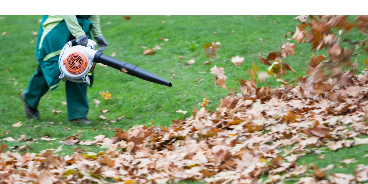 4 buone azioni per curare il tuo giardino in autunno!