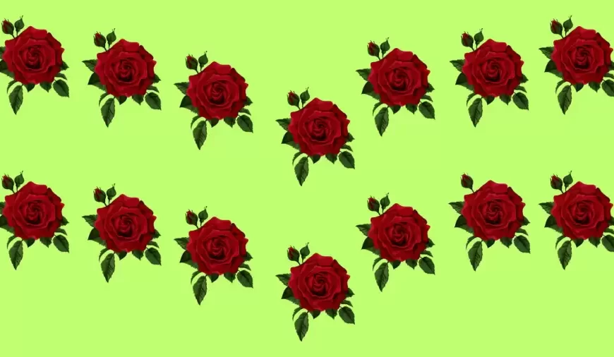 Avete la vista a raggi X se riuscite a individuare la Rosa Strana in soli 8 secondi